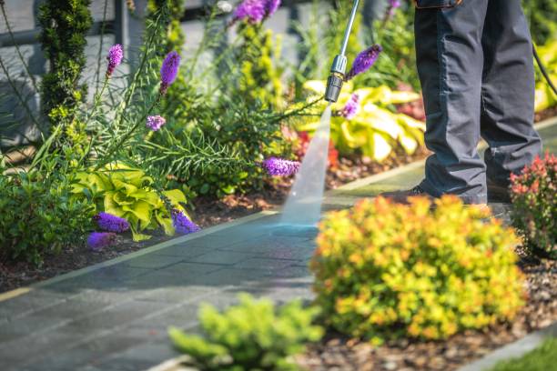 Best Commercial Pressure Washing in Midlothian, TX