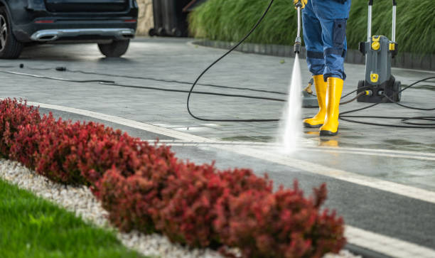 Best Gutter Cleaning and Brightening in Midlothian, TX